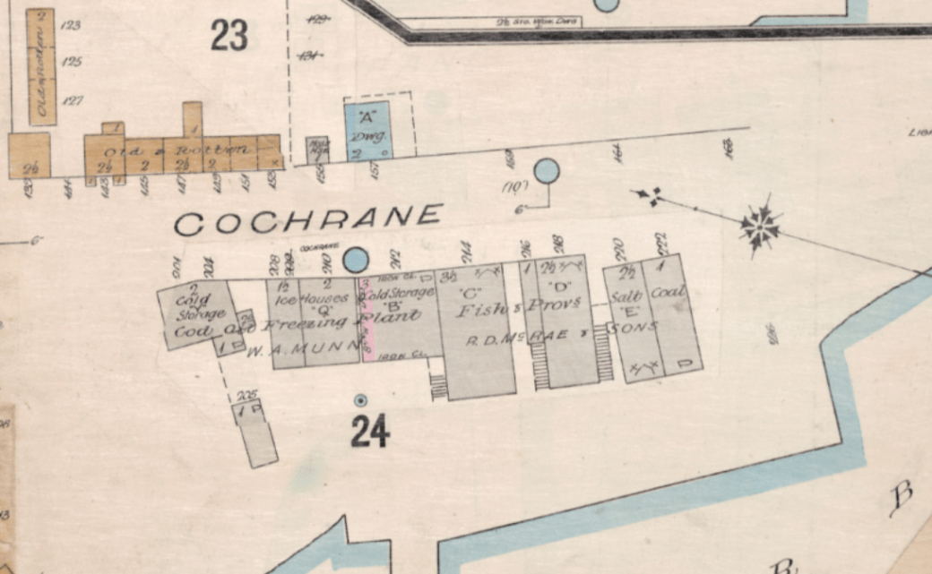 Harbour Grace Surveyor's Map (1893)
