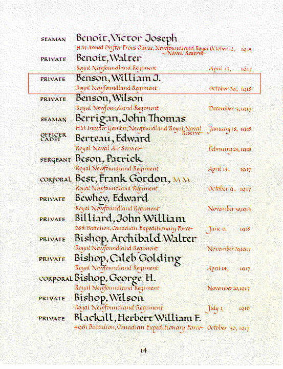 Book of Remembrance Ottawa copy